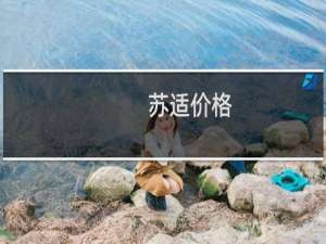 苏适价格