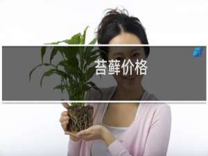 苔藓价格