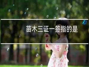 苗木三证一签指的是