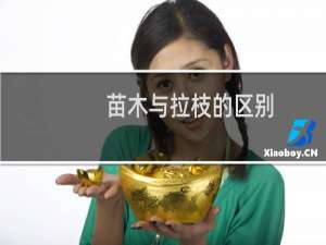 苗木与拉枝的区别