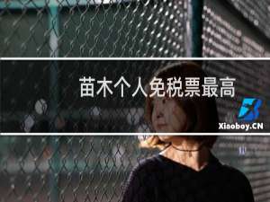 苗木个人免税票最高