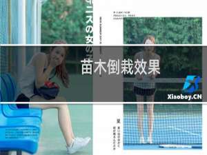 苗木倒栽效果