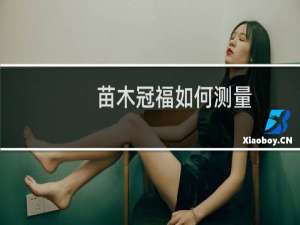 苗木冠福如何测量