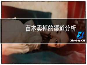 苗木卖掉的渠道分析