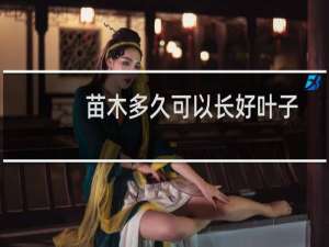 苗木多久可以长好叶子