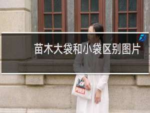 苗木大袋和小袋区别图片