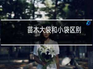 苗木大袋和小袋区别