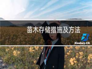 苗木存储措施及方法