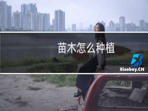 苗木怎么种植