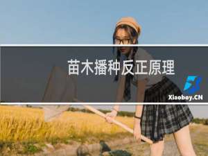 苗木播种反正原理