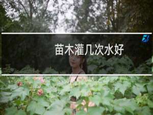 苗木灌几次水好