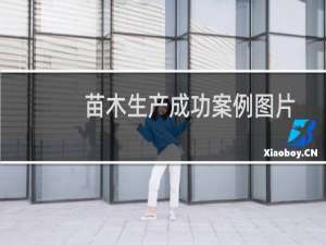 苗木生产成功案例图片
