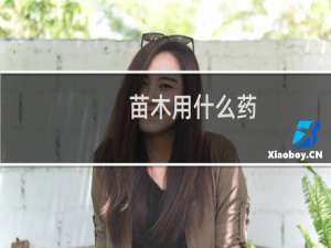 苗木用什么药