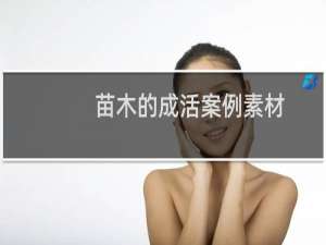 苗木的成活案例素材