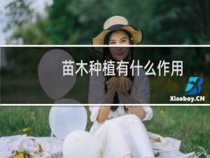 苗木种植有什么作用