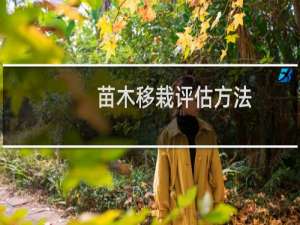 苗木移栽评估方法