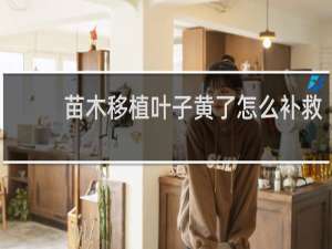 苗木移植叶子黄了怎么补救