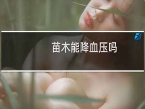 苗木能降血压吗