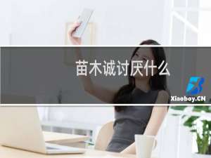 苗木诚讨厌什么