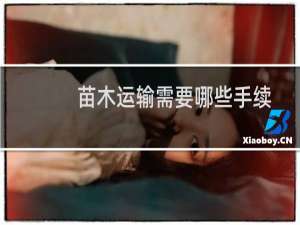 苗木运输需要哪些手续