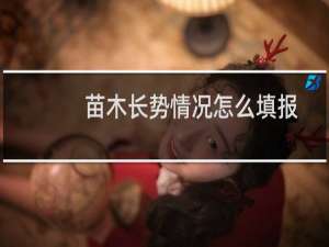 苗木长势情况怎么填报