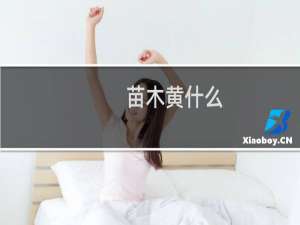 苗木黄什么