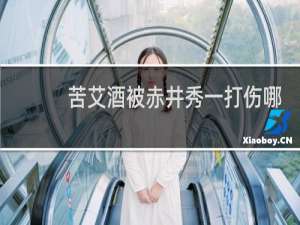 苦艾酒被赤井秀一打伤哪一集