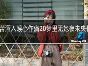 苦酒入喉心作痛 梦里无她夜未央什么梗