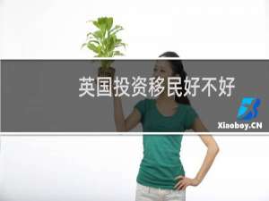 英国投资移民好不好