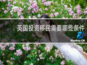英国投资移民需要哪些条件