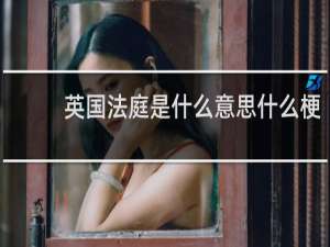 英国法庭是什么意思什么梗
