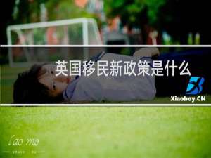 英国移民新政策是什么