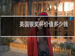 英国银奖杯价值多少钱