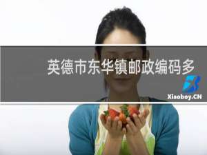 英德市东华镇邮政编码多少号