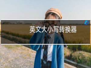 英文大小写转换器