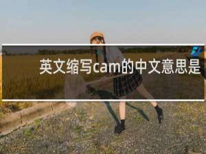 英文缩写cam的中文意思是