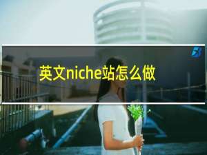 英文niche站怎么做