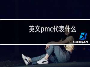 英文pmc代表什么