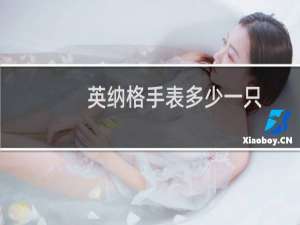 英纳格手表多少一只