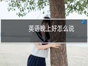 英语晚上好怎么说