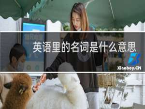 英语里的名词是什么意思