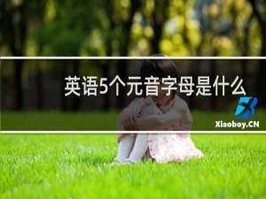 英语5个元音字母是什么