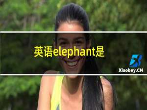 英语elephant是什么意思