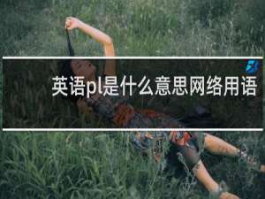 英语pl是什么意思网络用语，是什么的缩写啊什么梗