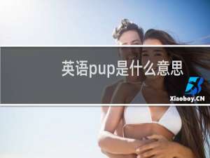 英语pup是什么意思啊（英文不太好，想知道YP到底是什么意思）