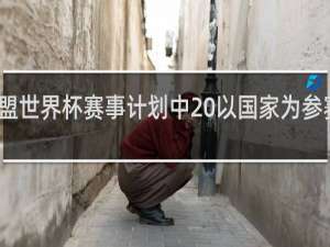 英雄联盟世界杯赛事计划中 以国家为参赛单位什么梗