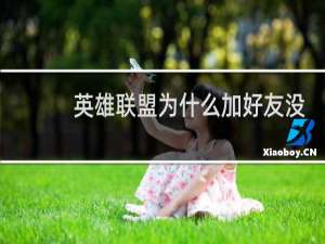 英雄联盟为什么加好友没反应