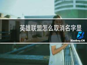 英雄联盟怎么取消名字显示