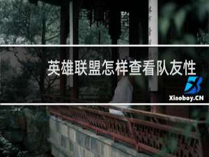 英雄联盟怎样查看队友性别
