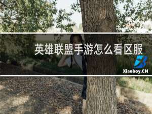 英雄联盟手游怎么看区服